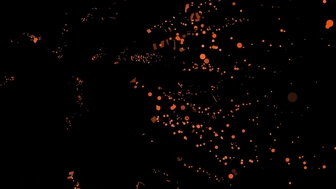 Thippy shemale porn 11_01_2022 Latest May camrecords