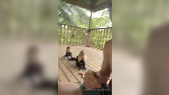 bwctravelvids onlyfans Shy chick caresses big tits