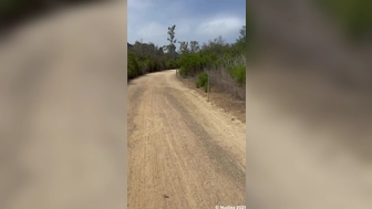 LaynaBoo aka Layna Boo aka laynaaboo onlyfans 17_03_2022 Latest broadcasting