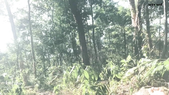 Leolulu_Quickie in the Jungle. Трахаю дикого льва