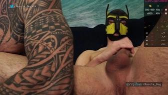 muscle_dog chaturbate 4-01-2022 performance Full ticket show