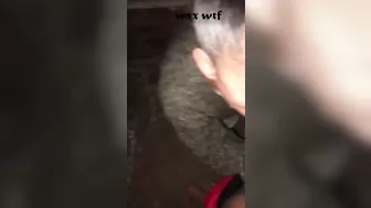 Big Booty Latina for 20 Bucks_Kriskoiphish_720p