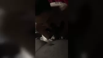 Brenda, Orlando Wsw_SinDrik_1080p