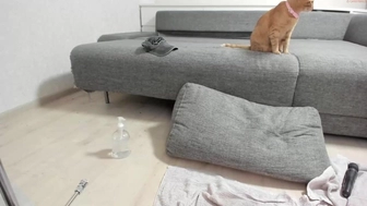 honey_sunshine chaturbate Hot trick fingering pussy