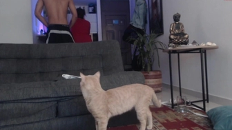 fratguysonline chaturbate Ardent confused jumps on the dick