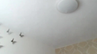 kissofacobra chaturbate Exquisite woman masturbating pussy sex toy