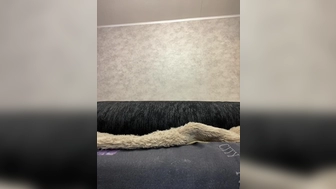 justBella скайп шоу