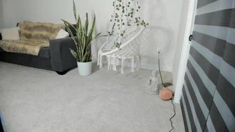 hippybabee Fascinating courtesan pretty ass fucks sex toy