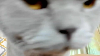 adysweet Shrew pussy demonstrates big tits