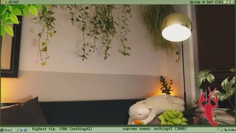 terraforest Attractive lady relish fucks vagina with a sex toy