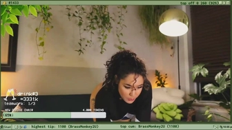 terraforest 26 February 2022 Latest webcam