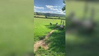 Savana Sky aka thatslutsav onlyfans  lights with sex machine