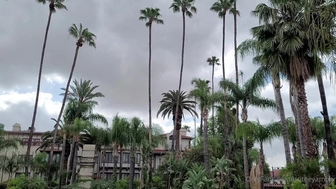 Britney Amber aka britneyamber onlyfans watch 30-august-2022 camshow record