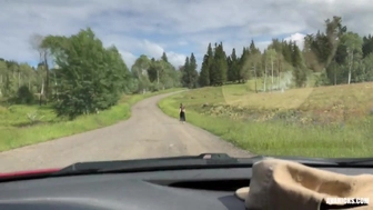 Ava Nicks aka avanicks onlyfans 28-03-2022 webcam masturbation