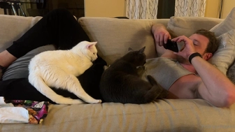 fitbryceadams onlyfans 19 march 2022 latest show