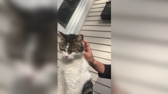 fitbryceadams onlyfans hot lady milf fucks vagina