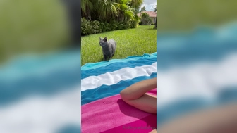 fitbryceadams onlyfans pay-per-view show july-26-2022