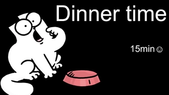 1i1ypa1mer_08102022_1109_female_chaturbate_4