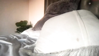 blondiebabbby420_29092022_0356_female_chaturbate_4