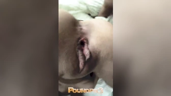 PoundPie3_109 Snapchat Дьявол хочет, чтобы ты кончил на # HALLOWEEN2019 (ВСЕ НЕОТРЕДАКТИРОВАННЫЕ ОТЗЫВЫ) _PoundPie3_1080p