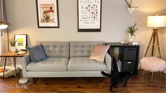 beayork отменный петинг промежностей