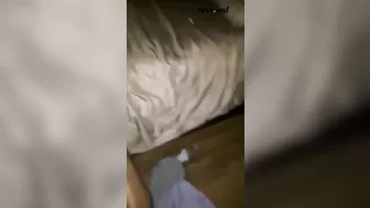 Did I do it right Sir¿_iloveme21_1080p