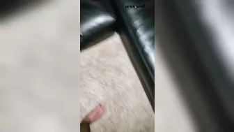 Fine Ass Wife Doggy Style_sbod420_1080p