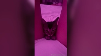 itslunaaaaa chaturbate panties