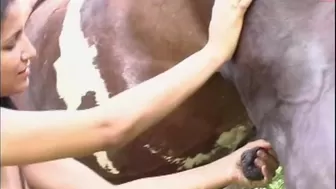 horse_love busty hottie gently jerks her cunt