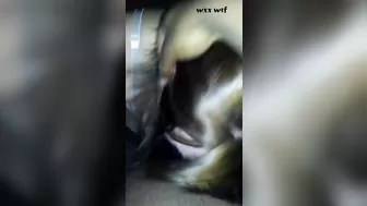 Fucking my Homegirl_DBattle1_1080p