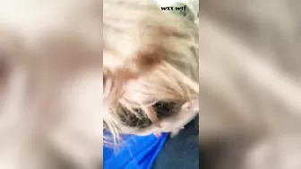Head from Bobbi in the Car_blamb420_1080p