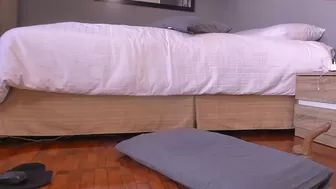 bigtroublelittlechina 14 September 2020