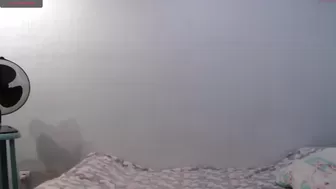 passions_streams Black