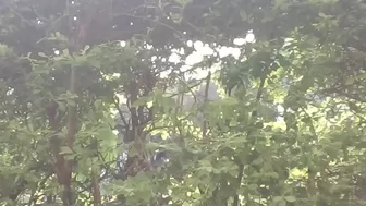 missytrig luxurious prostitute vids 2020