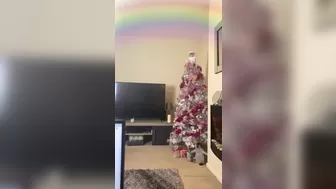 Jodie Lawson   Obstinate wench