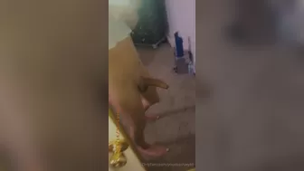 yourtsashley69 Flirty slut