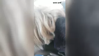 I can't get enough of MILF Bicths they can Suck Dick like Crazy_selfm_1080p