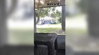 Outside with the Neighbors_Draco Dragon_720p