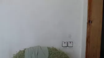 katyachaturbaty juicy ass