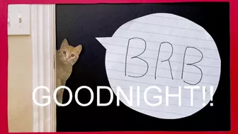 internet_famous 13 March 2020