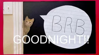 internet_famous 27 June 2020