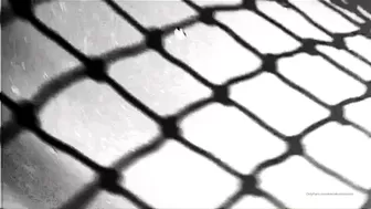 elenakoshkaxoxo Pretty bbw