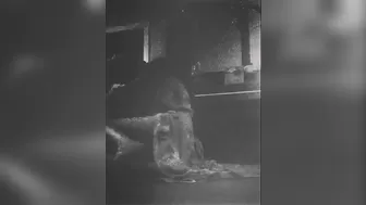 elenakoshkaxoxo 24 August 2020