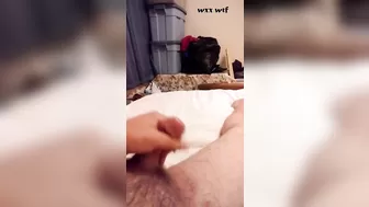 Pnp Dope Slut Misty Spun Sucking Cock_Dsgbs_1080p