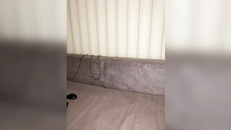 xNovax засветила что у нее промеж ног