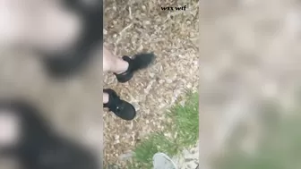 She Sucks off Complete and Total Stranger in Public Park_Heather Kane_1080p