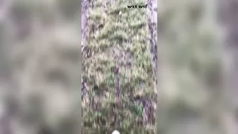 Spying Neighbor. Caught Teen Masturbation. Part 1_BootyFrutti_1080p