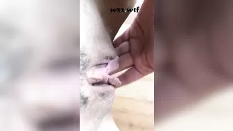 Wet Solo Pee Squirt while Fingering_honeybager82_720p