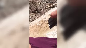 You know I Love this Stuff. Outdoor Beach Mischief._honeybager82_1080p