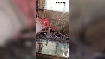 Almost Caught Riding my Dildo on my Porch_Smokey Vixen_1080p